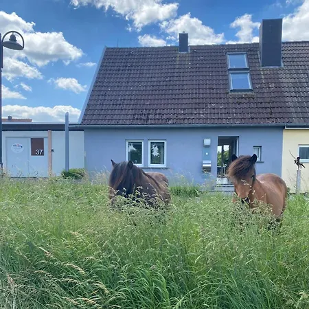 Apartman Altes Zoellnerhaus 37