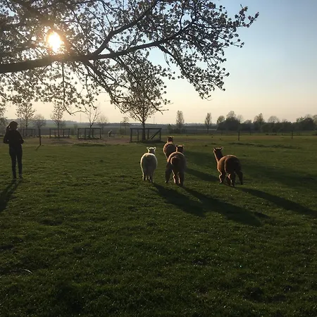 Appartement Altes Zoellnerhaus 37 Gangelt