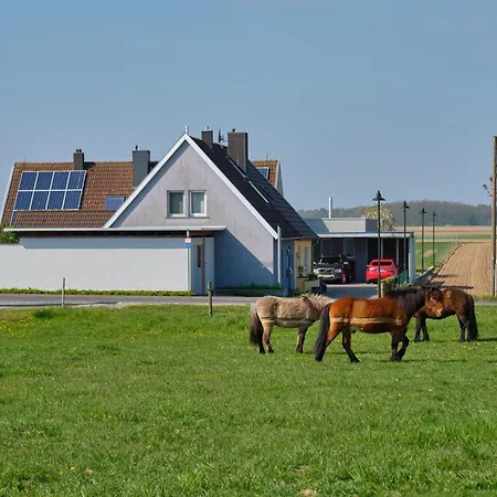 Altes Zoellnerhaus 37 * Gangelt