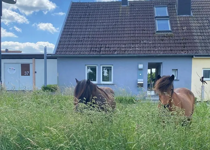 Appartement Altes Zoellnerhaus 37