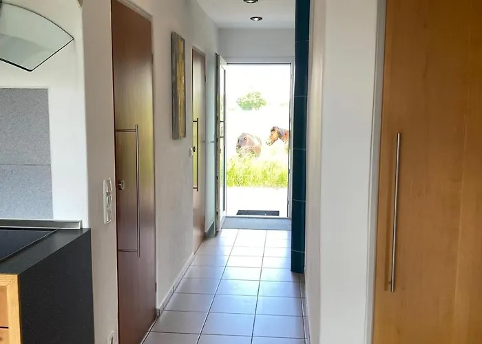 Appartement Altes Zoellnerhaus 37