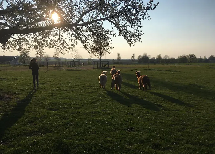 Appartement Altes Zoellnerhaus 37 Gangelt