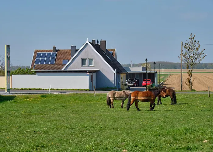 Altes Zoellnerhaus 37 * 갠젤트